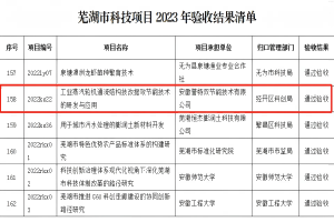 科技項目“工業(yè)蒸汽輪機通流結(jié)構(gòu)技改提效節(jié)能技術(shù)的研發(fā)與應用”通過蕪湖市科技局驗收